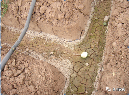 臺(tái)州農(nóng)資 臺(tái)州農(nóng)資