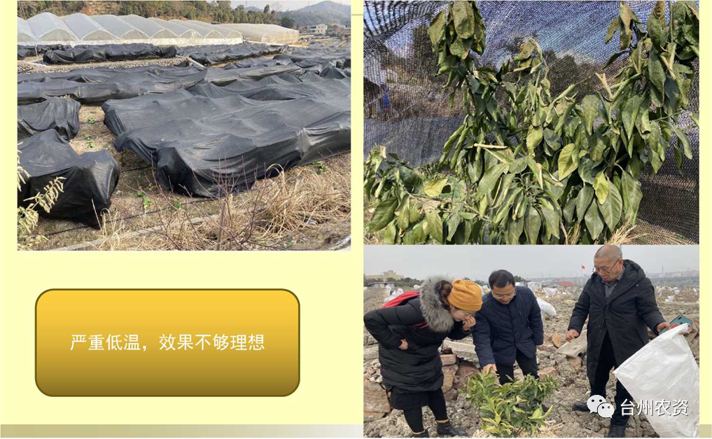 1675646150381734.png 640 (4).png