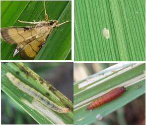 臺(tái)州農(nóng)資 臺(tái)州農(nóng)資